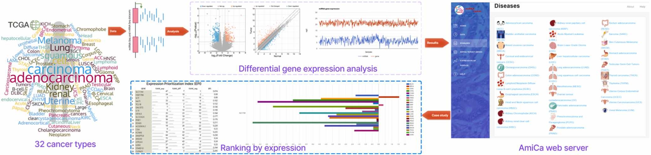 Graphical abstract of the AmiCa study