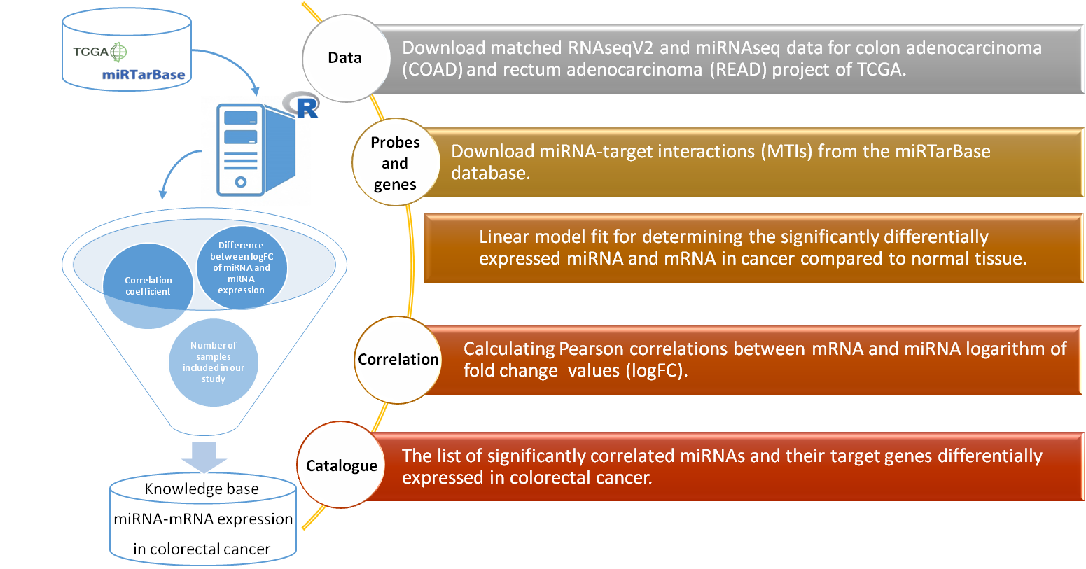 Graphical abstract of the miRNA colorectal cancer study